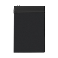 Battery ExeGate EL 12-55-M6 Battery ExeGate EL 12-55-M6