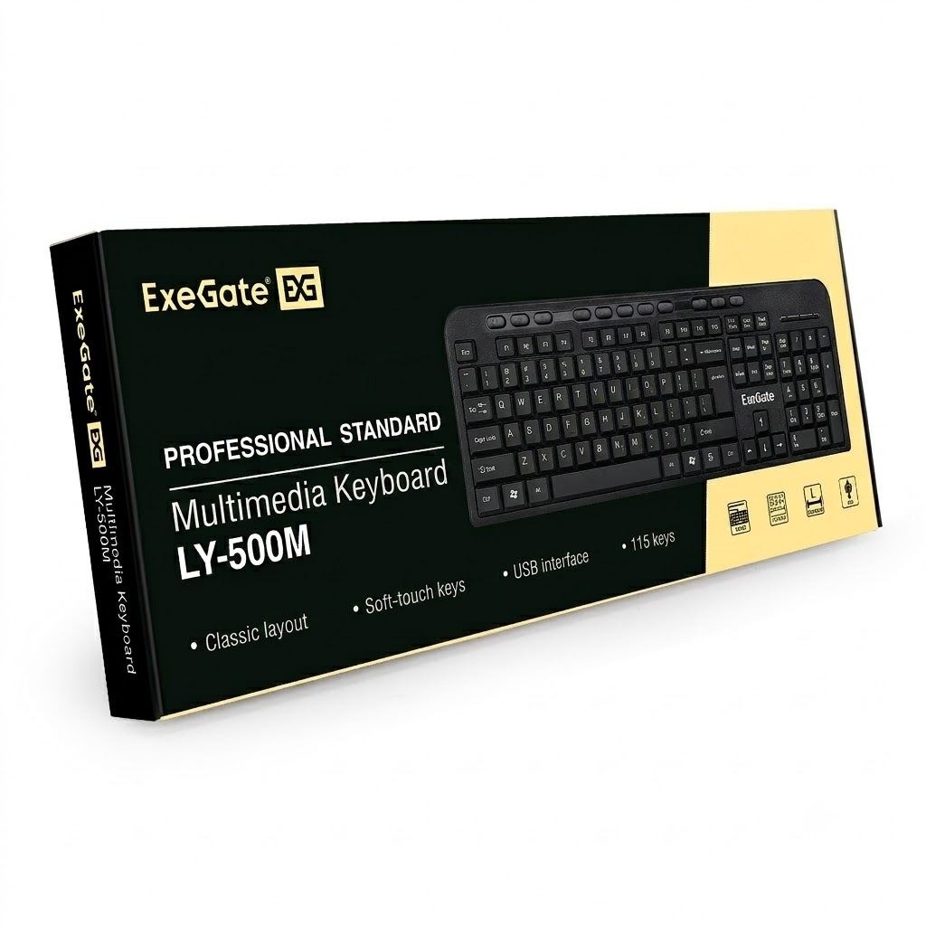 ExeGate Multimedia Professional Standard LY-500M Color box ExeGate Multimedia Professional Standard LY-500M Color box