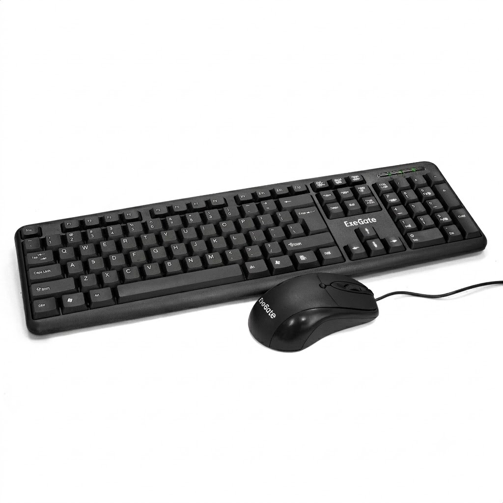 ExeGate Professional Standard Combo MK120-OEM ExeGate Professional Standard Combo MK120-OEM
