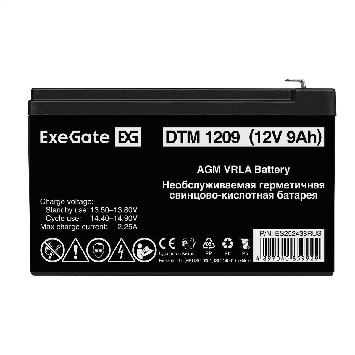 Battery ExeGate DTM 1209