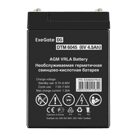 Battery ExeGate DTM 6045