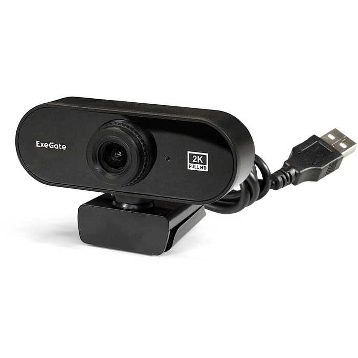 is a webcam an output device