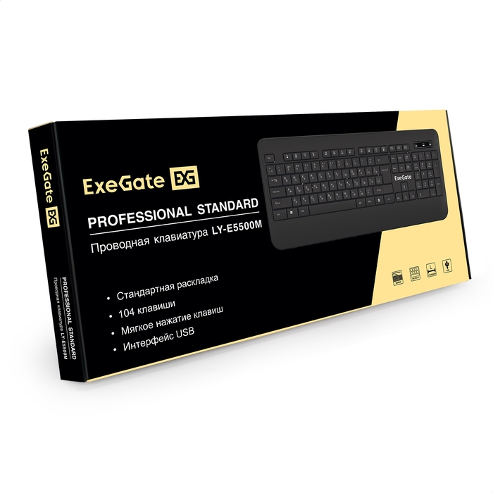 ExeGate Professional Standard LY-E5500M Color box