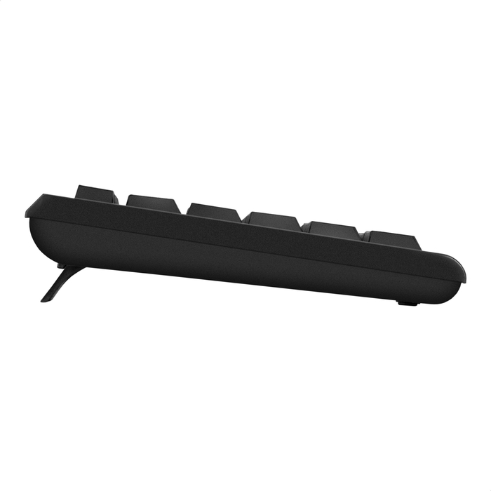 ExeGate Professional Standard Combo MK170