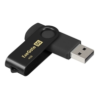 USB flash drive ExeGate Jet 4GB black