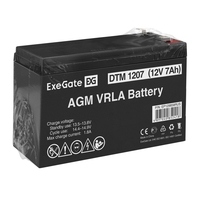 Battery ExeGate DTM 1207