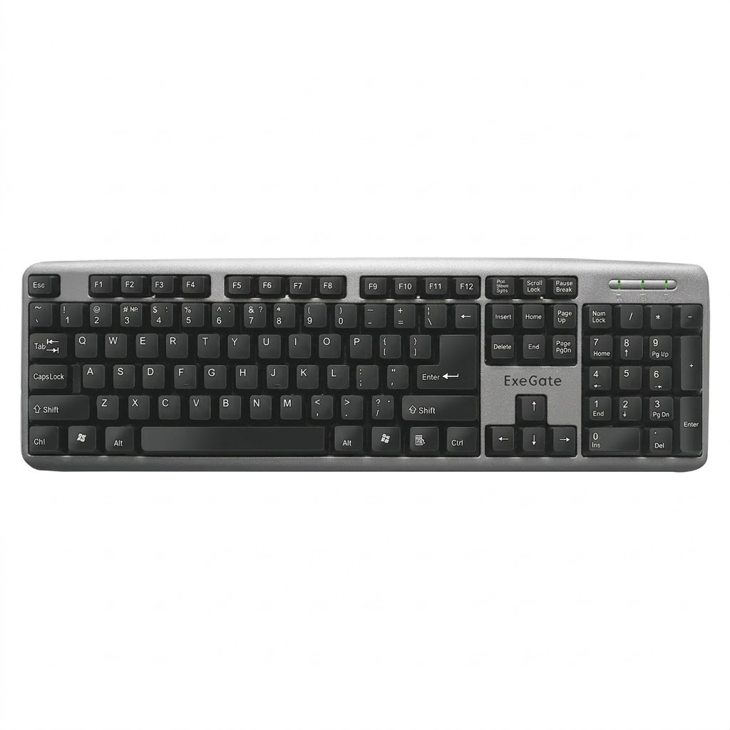 ExeGate Professional Standard LY-401