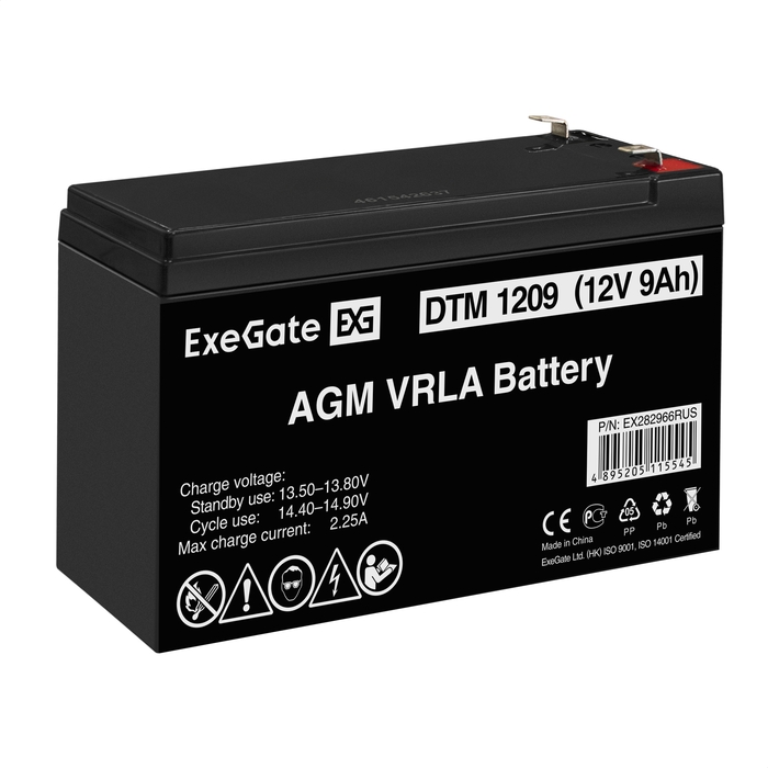 Battery ExeGate DTM 1209