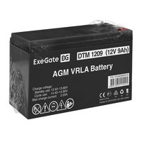 Battery ExeGate DTM 1209