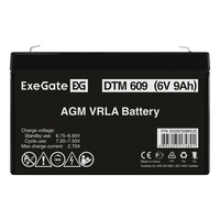 Battery ExeGate DTM 609